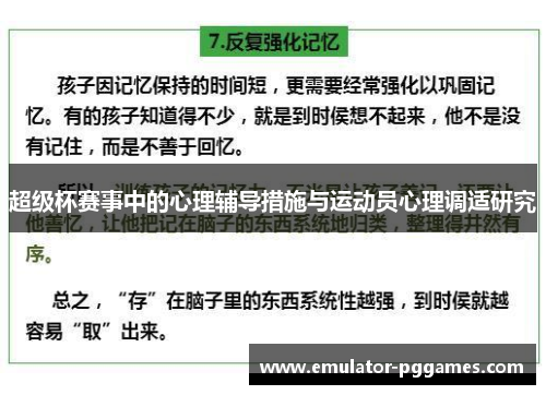 超级杯赛事中的心理辅导措施与运动员心理调适研究
