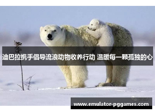 迪巴拉携手倡导流浪动物收养行动 温暖每一颗孤独的心 迪巴拉携手倡导流浪动物收养行动 温暖每一颗孤独的心